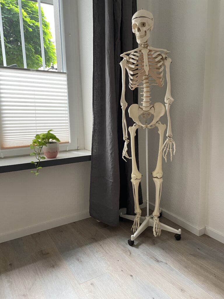 Physiotherapeutin behandelt Patientin mit manueller Therapie in moderner Praxis
Übung zur Mobilisierung der Wirbelsäule in der Physiotherapie
Individuelle Betreuung während der Schwangerschaftsphysiotherapie
Behandlung von Rückenschmerzen mit physiotherapeutischer Anwendung
Therapieraum mit Behandlungsliege in heller und freundlicher Praxis
Physiotherapeut zeigt Faszienrolle zur Eigenübung zu Hause
Lymphdrainage bei geschwollenem Bein durch erfahrene Therapeutin
Persönliche Beratung zur Therapieplanung in der Praxis in Köln Rathenauviertel
