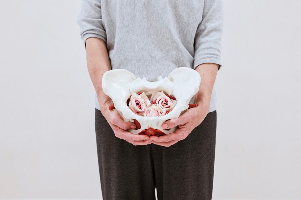 Beckenbodengymnastik Köln Belgisches Viertel Sülz Innenstadt Zollstock Frauen Physio Physiotherapie Physiotherapeut manuelle Therapie